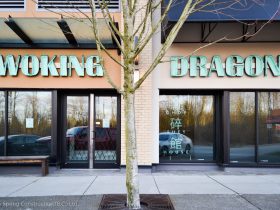 Woking Dragon 10