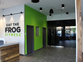 EattheFrog1