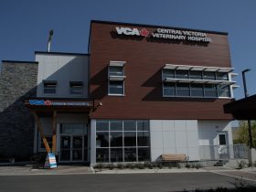 VCAVictoria1