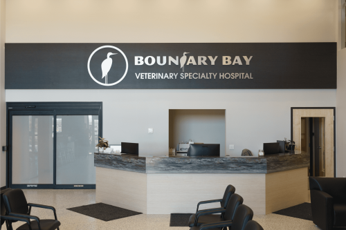 BoundaryBayVet1