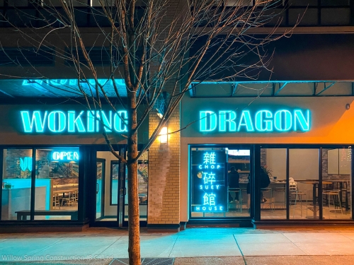 Woking Dragon 11