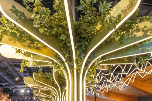 Chances Edit HR-0924